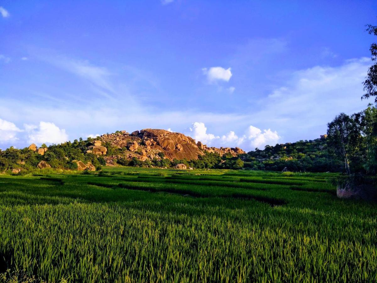 Tutti Hampi Chattai Cottages Экстерьер фото